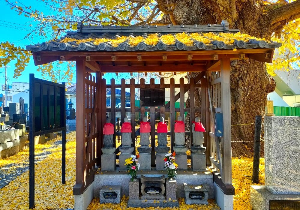 真福寺 大イチョウのそばに並ぶ六地蔵