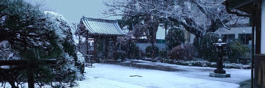 真福寺の境内に広がる雪景色｜さいたま市南区の供養寺